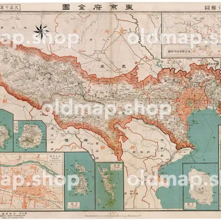 東京府全図 大正10年(1921) - 金刺分県図