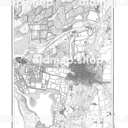 台南及安平近傍第一号 台南 明治28年(1895) - 台湾二万分一図